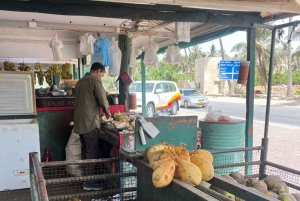 Private Tour Salalah City & West of Salalah