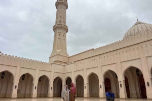 Private Tour Salalah City & West of Salalah