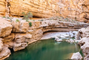 Tour privati - Muscat - Nizwa - Wadi Shab - Pick-up all'aeroporto