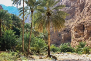 Tour privati - Muscat - Nizwa - Wadi Shab - Pick-up all'aeroporto