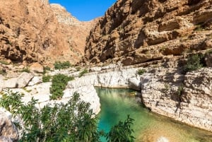 Tour privati - Muscat - Nizwa - Wadi Shab - Pick-up all'aeroporto
