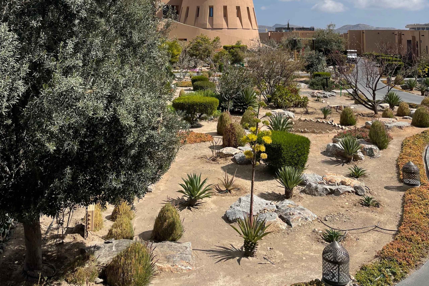 Yksityinen kuljetus: Akhdariin/Shamsiin