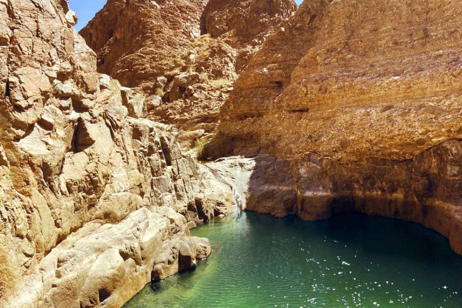 Hidden Wadi Adventure från Dubai: Fossiler, vandring och östkusten