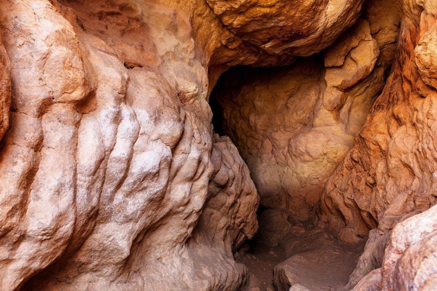 Hidden Wadi Adventure från Dubai: Fossiler, vandring och östkusten