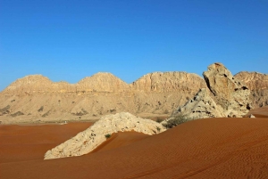Hidden Wadi Adventure från Dubai: Fossiler, vandring och östkusten