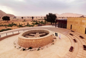 Hidden Wadi Adventure från Dubai: Fossiler, vandring och östkusten