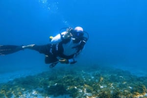 Qantab Beach: Oppdag dykkeropplevelse