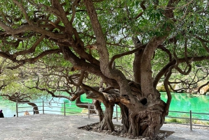 Salalah a combination of East and West tour