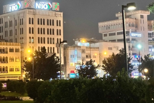 Salalah di notte: tour serale della città con Gardens Mall e souk