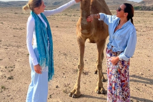 صلالة: زيارة مزرعة الإبل مع تذوق حليب الإبل ولحومها