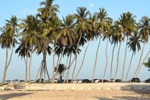 Salalah: Kameltur på stranden