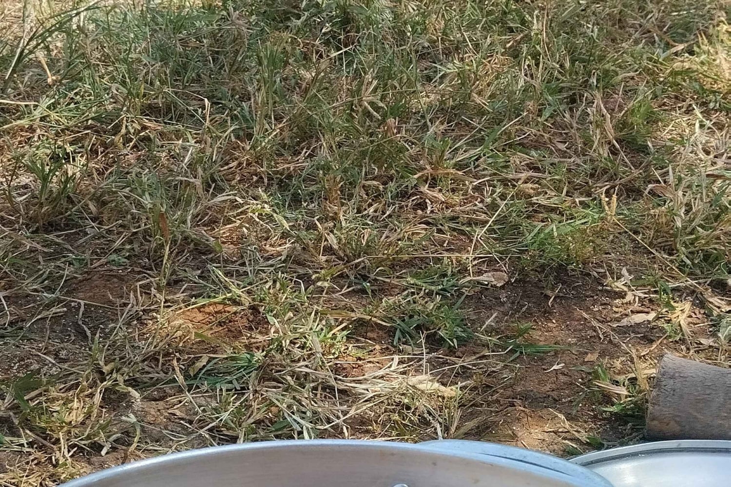 Salalah: visita guiada aos destaques da cidade com aventura 4x4