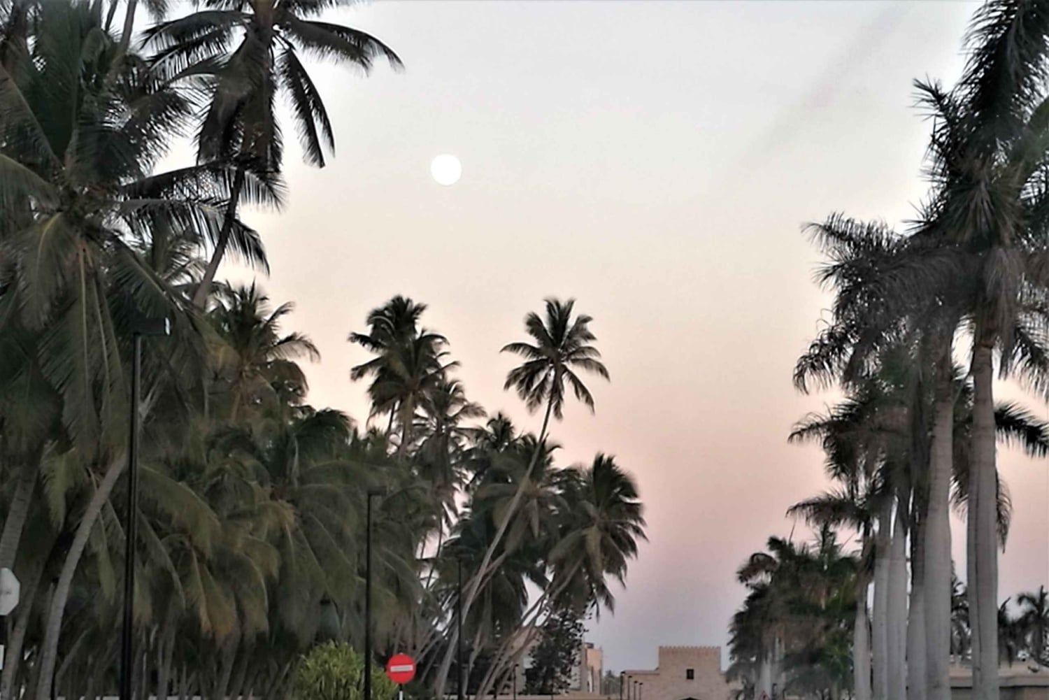 صلالة: جولة في أبرز معالم المدينة مع مرشد محلي