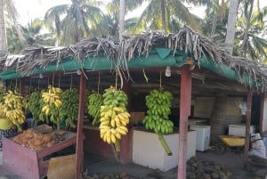 Salalah: Recorrido por lo más destacado de la ciudad con guía local