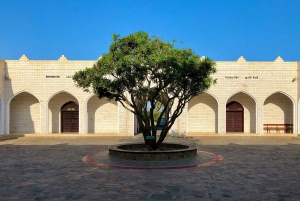 Byrundtur i Salalah: Oppdag det beste av Omans kystperle