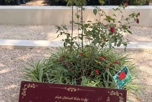 Salalah: Moschee, Al-Gharif-Projekt und königliche Farm