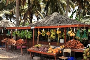 Visites de la ville de Salalah