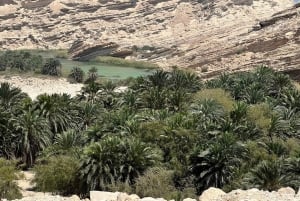 Salalah: Coastal Highway Tour to Fushi Dunes & Hasik Beach