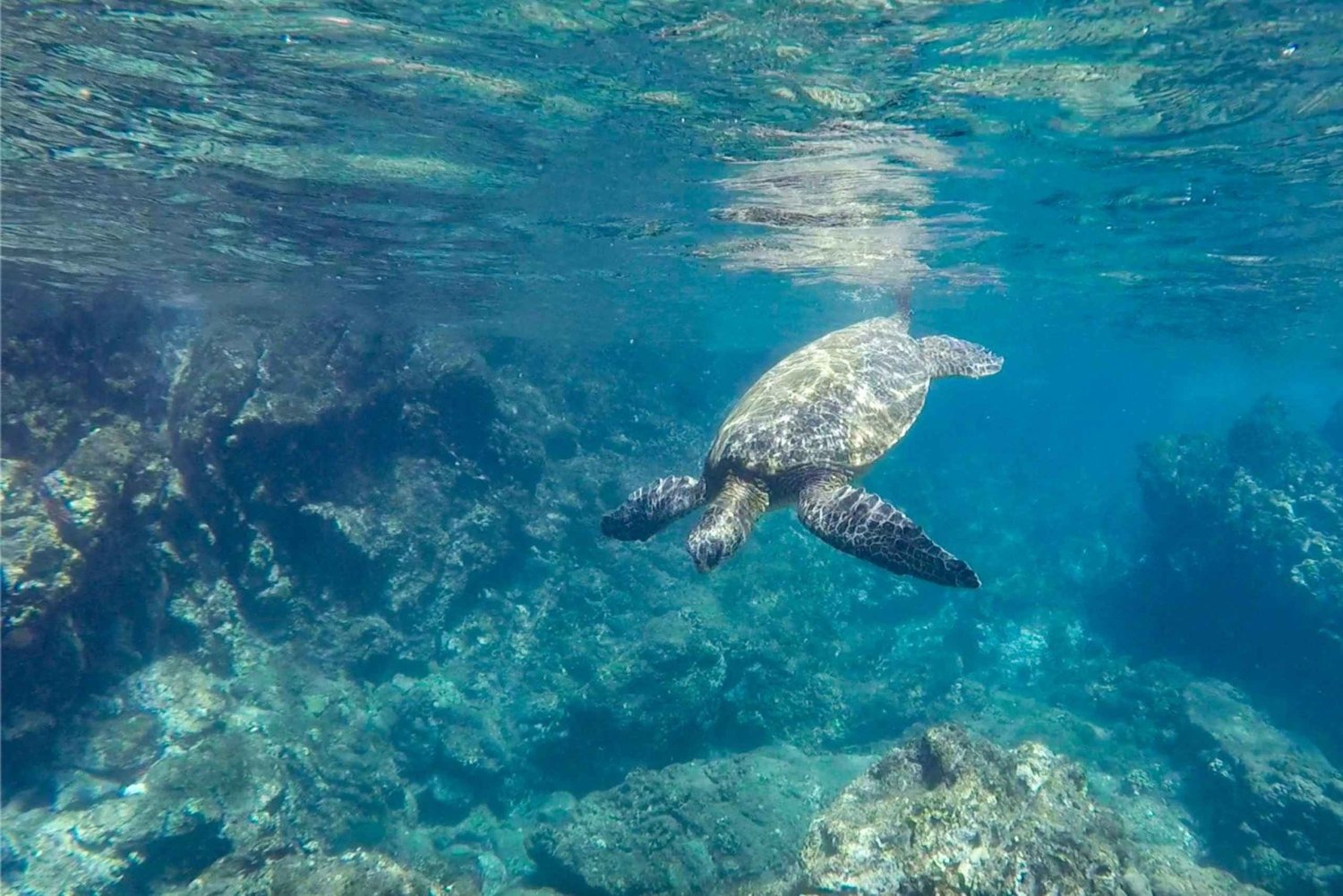 Salalah: Odkryj raj dla miłośników snorkelingu w Mirbat – wycieczka z przewodnikiem