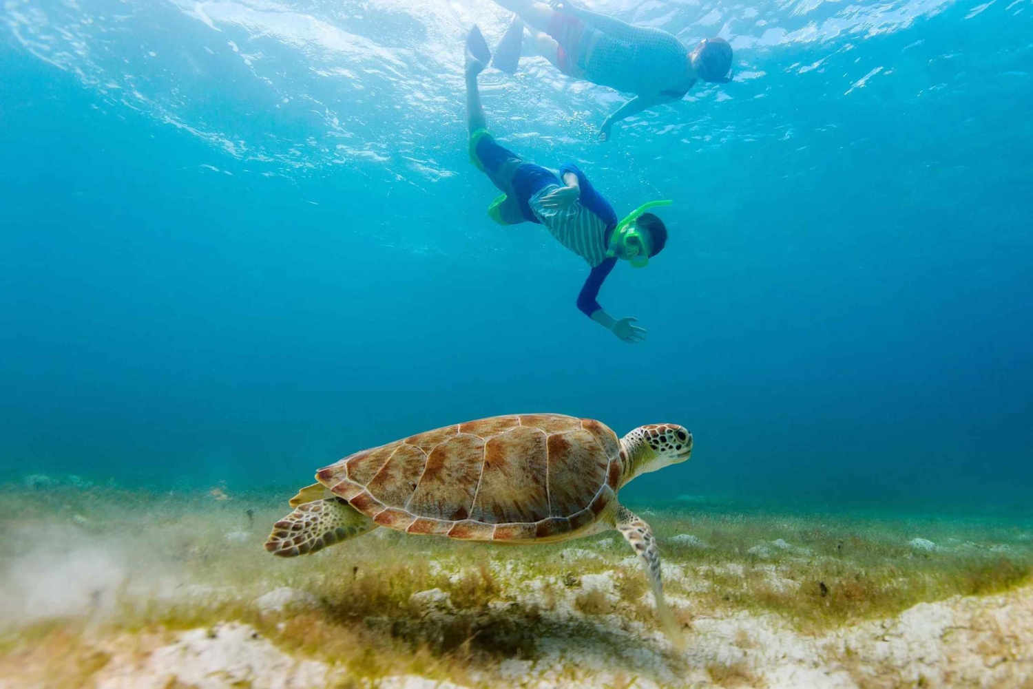 Salalah: Discover Mirbat's Snorkeling Paradise Guided Tour