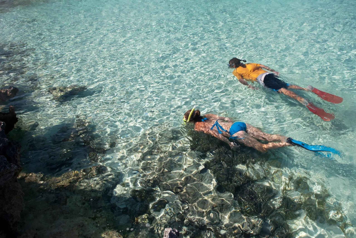 Salalah: Discover Mirbat's Snorkeling Paradise Guided Tour