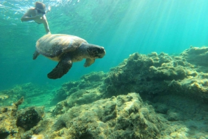 Salalah: Discover Mirbat's Snorkeling Paradise Guided Tour