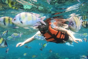 Salalah: Discover Mirbat's Snorkeling Paradise Guided Tour
