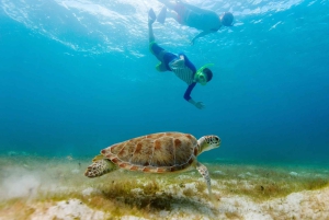 Salalah: Discover Mirbat's Snorkeling Paradise Guided Tour