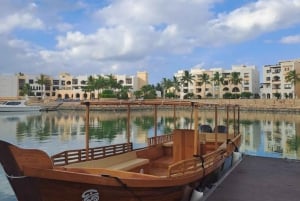 Salalah Dolphin Watching Boat Tour with Refreshments