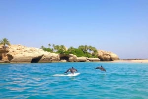 Salalah: Bootstour zur Delfinbeobachtung