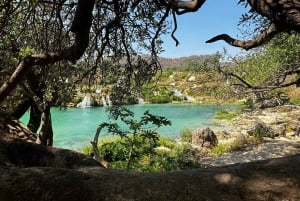 Salalah Ost Abenteuer: Wasserfälle, Berge & Safari