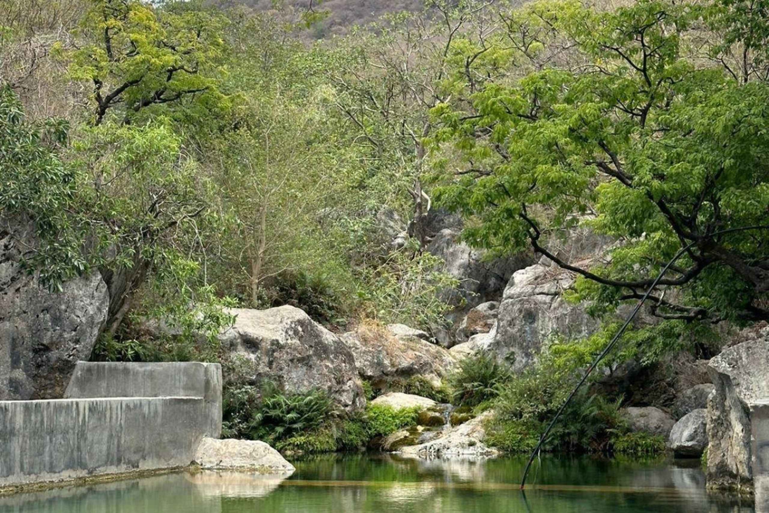 Salalah: East Salalah Tour with Wadi and Sumhuram Museum