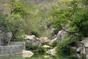 Salalah: Excursão pelo leste de Salalah com Wadi e Museu Sumhuram