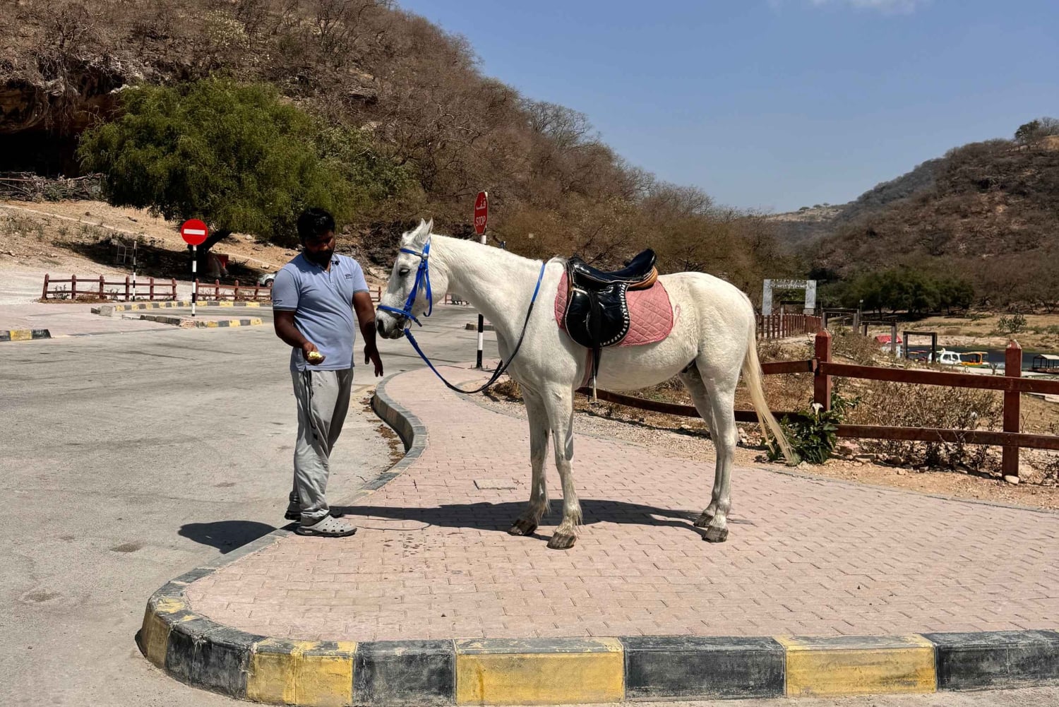 Excursão a leste de Salalah: Taqah, cascata de Darbat, baobá de camelo