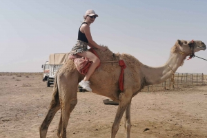 Salalah: Excursión al Atardecer en el Desierto del Barrio Vacío