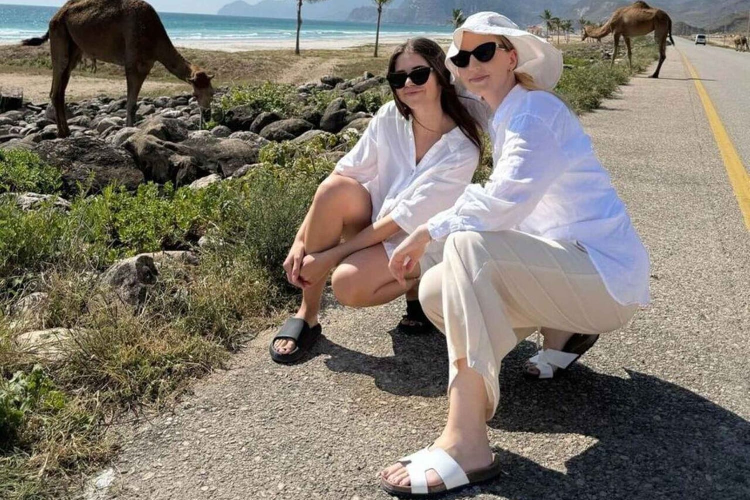 Salalah | Plaża Fazayah, plaża Mughsail i drzewa kadzidłowca