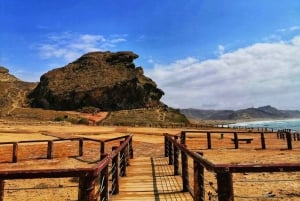 Salalah | Fazayah Beach, Mughsail Beach & Weihrauchbäume