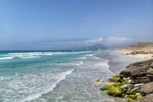 Salalah | Fazayah Beach, Mughsail Beach & Weihrauchbäume