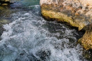 Salalah | Fazayah Beach, Mughsail Beach & Weihrauchbäume