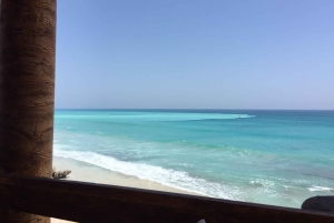 サラーラ：乳香の道、ラクダ農場、ビーチツアーをご案内いたします