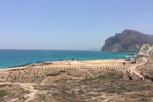 サラーラ：乳香の道、ラクダ農場、ビーチツアーをご案内いたします