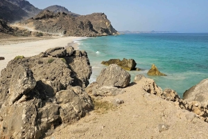 サラーラ：乳香の道、ラクダ農場、ビーチツアーをご案内いたします