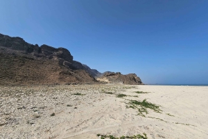 サラーラ：乳香の道、ラクダ農場、ビーチツアーをご案内いたします