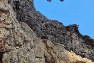 サラーラ：乳香の道、ラクダ農場、ビーチツアーをご案内いたします