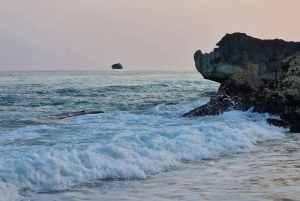 サラーラ：乳香の道、ラクダ農場、ビーチツアーをご案内いたします