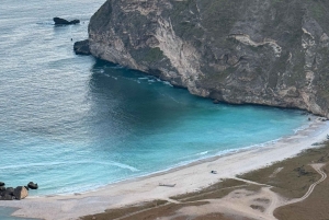 サラーラ：乳香の道、ラクダ農場、ビーチツアーをご案内いたします