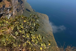 サラーラ：乳香の道、ラクダ農場、ビーチツアーをご案内いたします