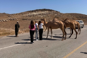 サラーラ：乳香の道、ラクダ農場、ビーチツアーをご案内いたします