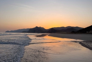 サラーラ：乳香の道、ラクダ農場、ビーチツアーをご案内いたします