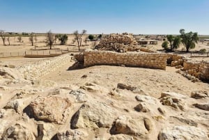 صلالة: رحلة سفاري صحراوية لمدة يوم كامل مع وجبة غداء